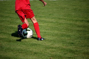 九游娱乐网站-冬奥场馆智能系统协助运动员热身训练，冬奥会设备  第1张